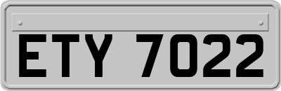 ETY7022