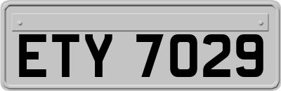 ETY7029