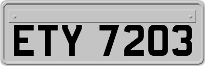 ETY7203