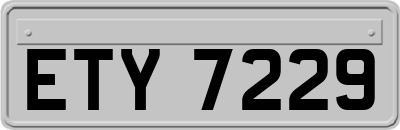 ETY7229