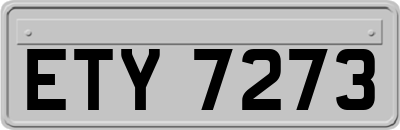 ETY7273