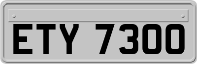 ETY7300
