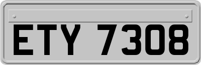 ETY7308