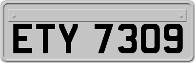 ETY7309
