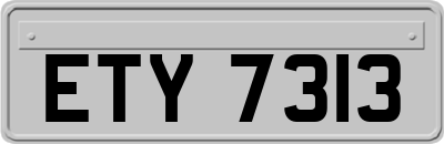 ETY7313