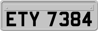 ETY7384