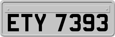 ETY7393
