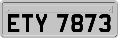ETY7873
