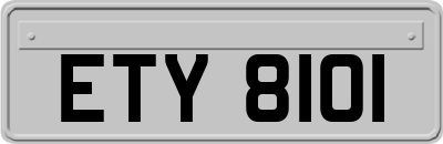 ETY8101