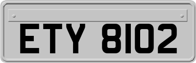 ETY8102