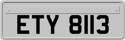 ETY8113