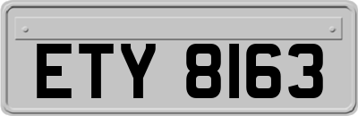 ETY8163