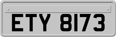 ETY8173