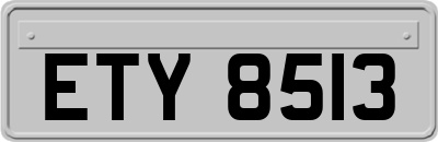 ETY8513