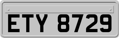 ETY8729