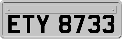 ETY8733