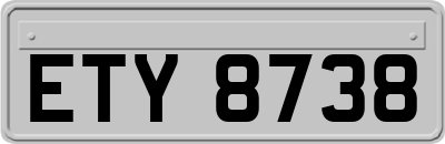 ETY8738