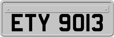 ETY9013