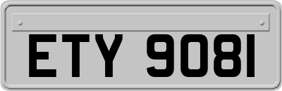 ETY9081
