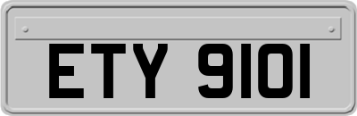 ETY9101
