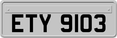 ETY9103