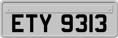 ETY9313