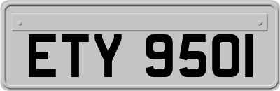 ETY9501