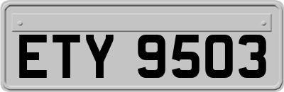 ETY9503
