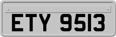 ETY9513