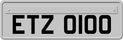 ETZ0100
