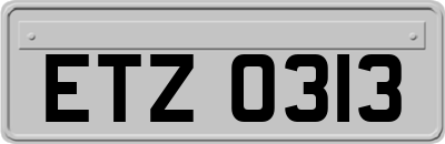 ETZ0313