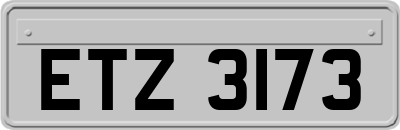 ETZ3173