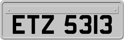 ETZ5313