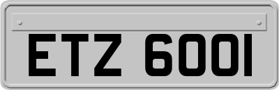 ETZ6001