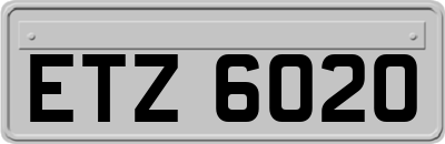 ETZ6020