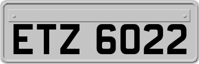 ETZ6022
