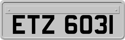 ETZ6031