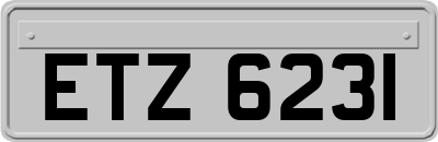 ETZ6231