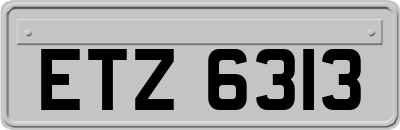 ETZ6313
