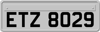 ETZ8029