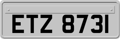 ETZ8731