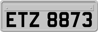 ETZ8873