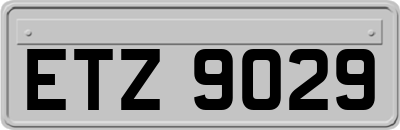 ETZ9029