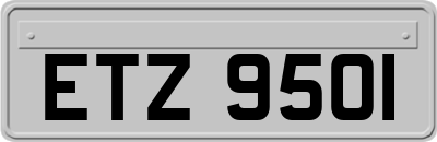 ETZ9501