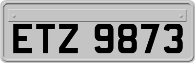 ETZ9873