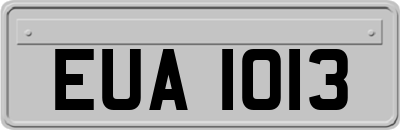 EUA1013