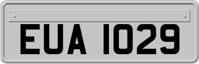 EUA1029