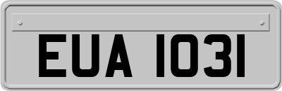EUA1031
