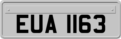 EUA1163