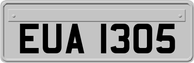 EUA1305